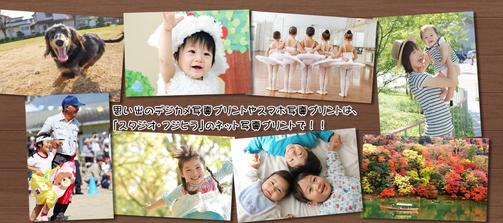 スタジオ・フジヒラ、ホームページ、和歌山岩出